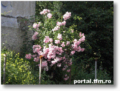 drum spre Prislop1