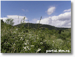 drum spre Prislop6