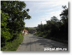 drum spre PrislopSilvasu