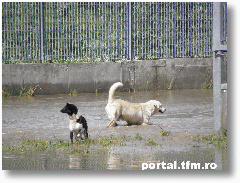 inundatii6