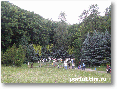 mormantul parintelui Arsenie Boca2e