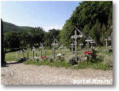Prislop1c