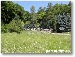 Prislop1d
