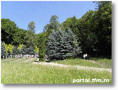 Prislop1g